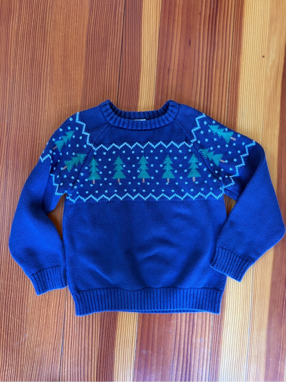 Hanna Andersson holiday sweater